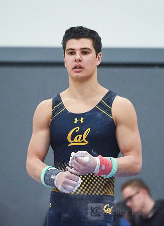 Shane Sadighi