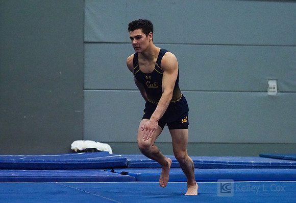 Shane Sadighi