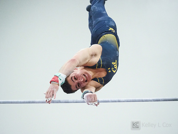 Shane Sadighi