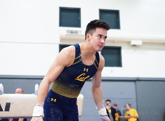 Aaron Mah