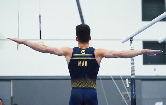 Aaron Mah