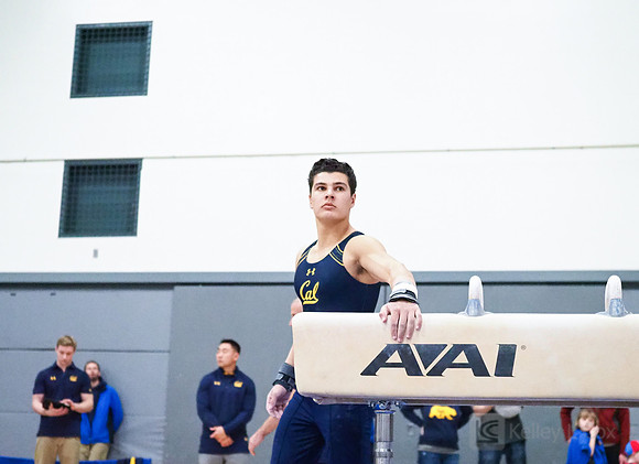 Shane Sadighi