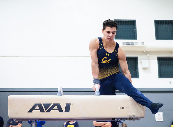 Shane Sadighi
