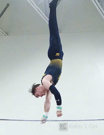 Michael Rauchwerer