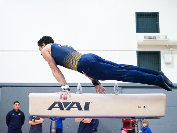 Shane Sadighi