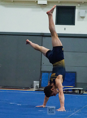 Shane Sadighi