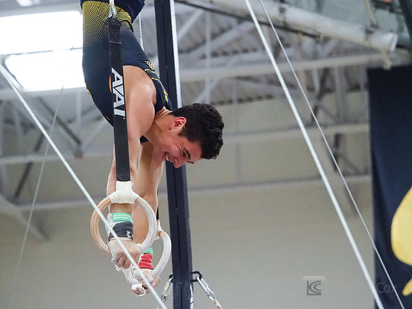 Shane Sadighi