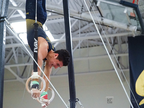 Shane Sadighi