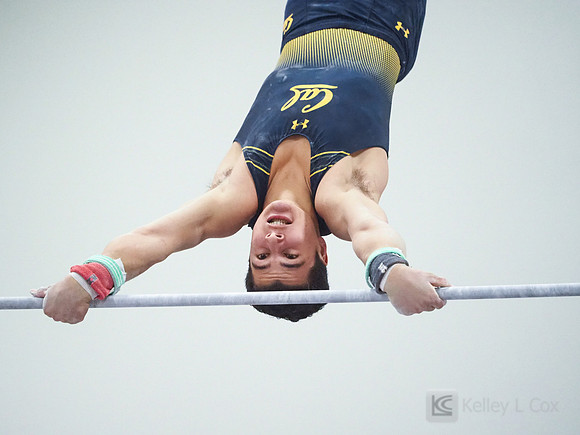 Shane Sadighi