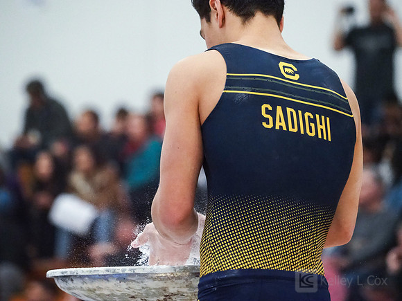 Shane Sadighi