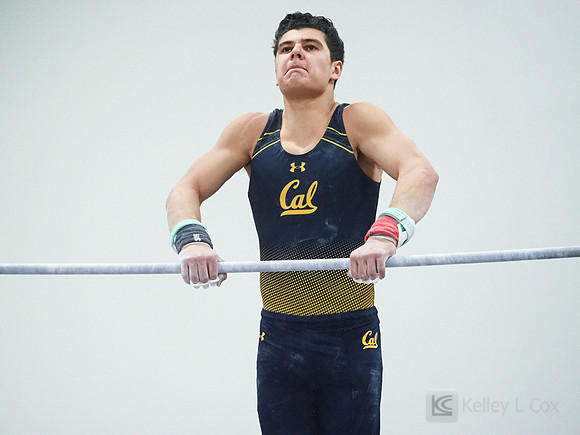 Shane Sadighi