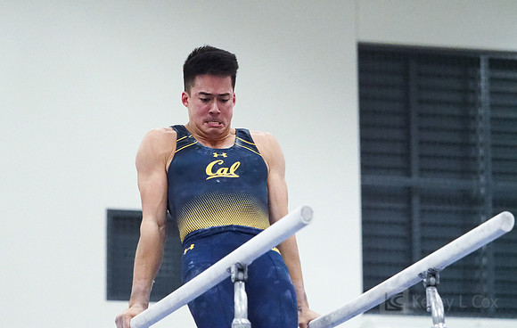 Aaron Mah