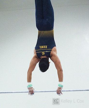 Nathaniel Ramil