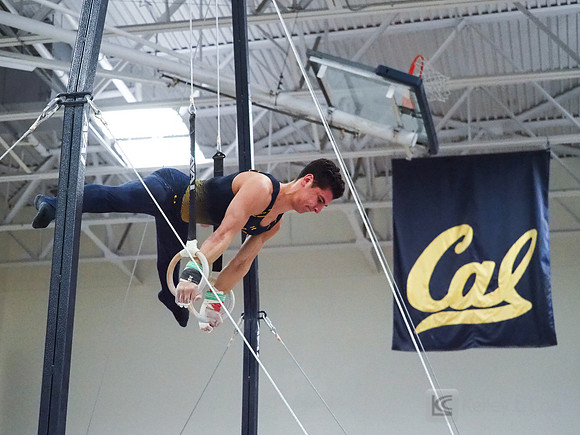Shane Sadighi