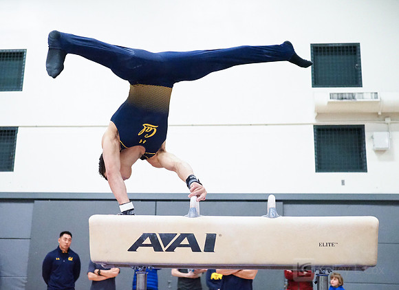 Shane Sadighi