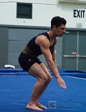 Shane Sadighi