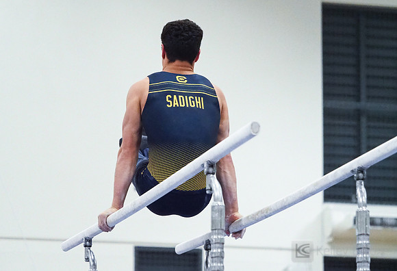 Shane Sadighi