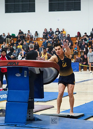 Shane Sadighi