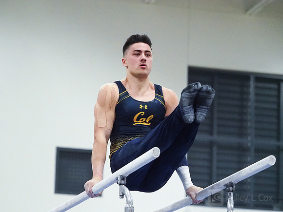 Bailey Chang