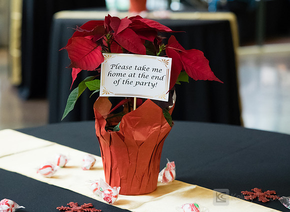 Haas Holiday Party