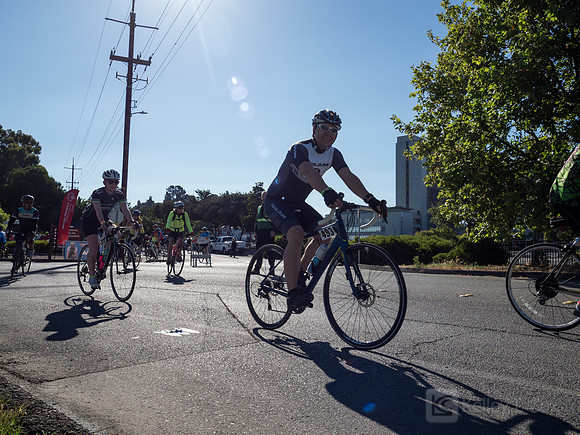 SONC: Bike the Bridges