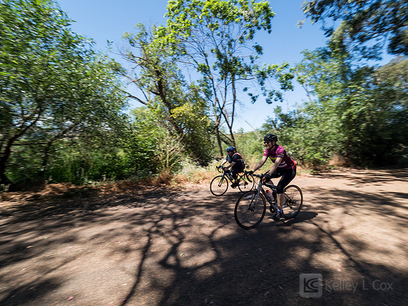 SONC: Bike the Bridges