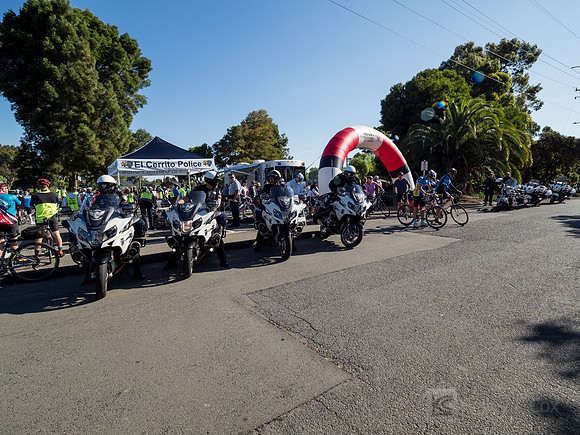SONC: Bike the Bridges