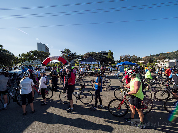SONC: Bike the Bridges