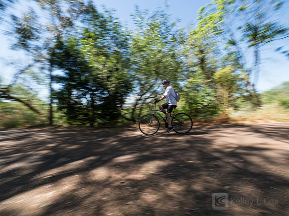 SONC: Bike the Bridges