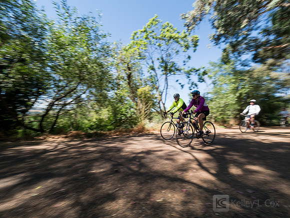 SONC: Bike the Bridges