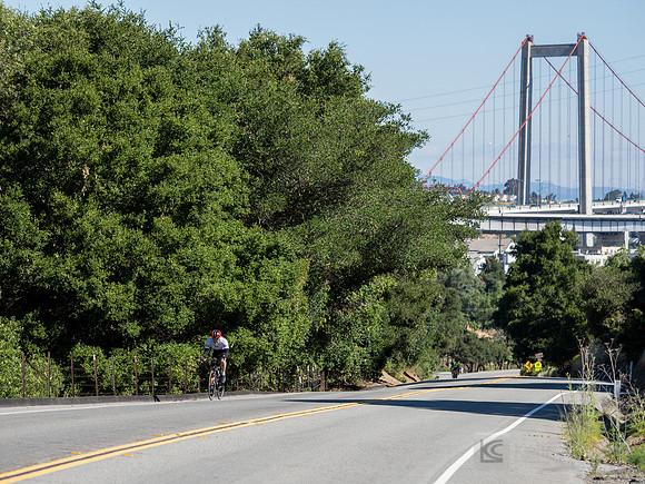 SONC: Bike the Bridges
