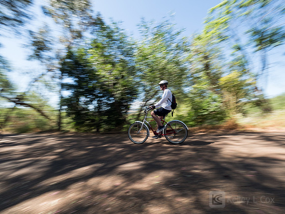 SONC: Bike the Bridges