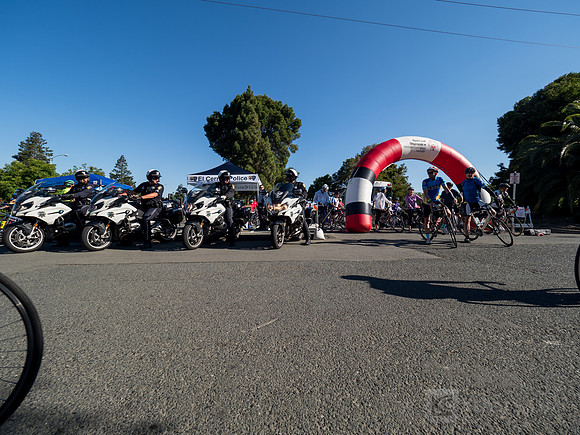 SONC: Bike the Bridges