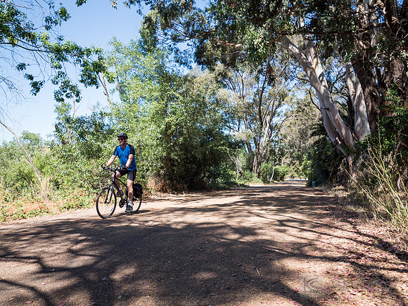 SONC: Bike the Bridges
