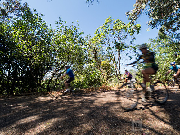 SONC: Bike the Bridges