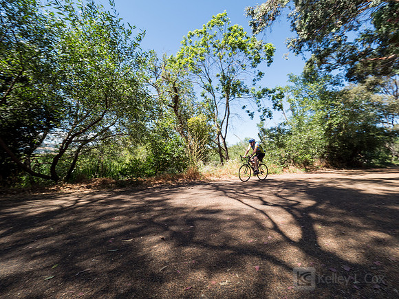 SONC: Bike the Bridges