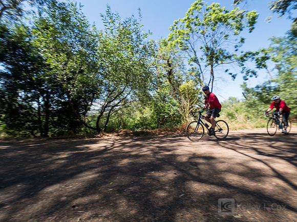 SONC: Bike the Bridges