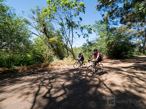 SONC: Bike the Bridges