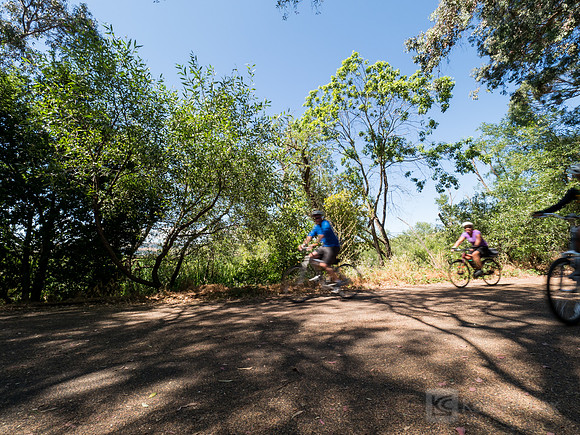SONC: Bike the Bridges