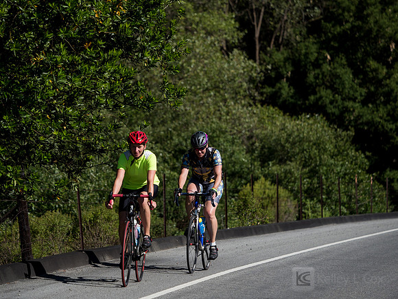 SONC: Bike the Bridges