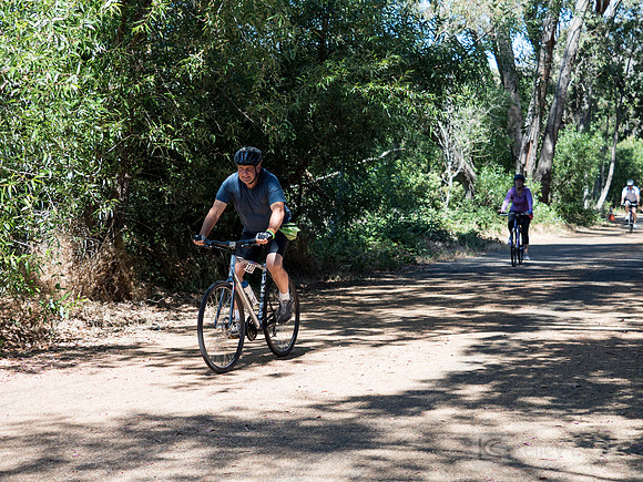 SONC: Bike the Bridges