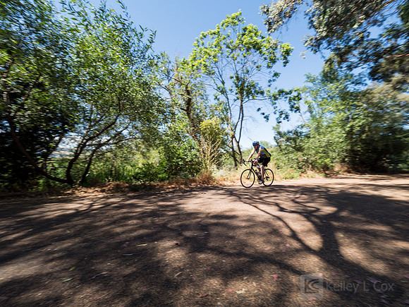 SONC: Bike the Bridges