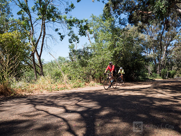 SONC: Bike the Bridges