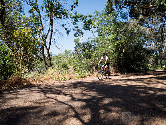 SONC: Bike the Bridges