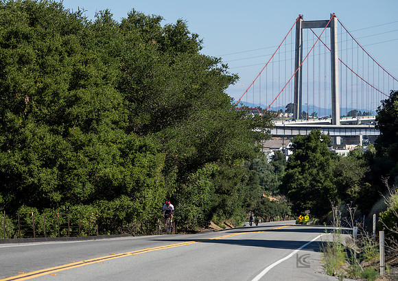 SONC: Bike the Bridges