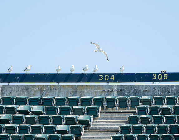 MLB: Cleveland Indians at Oakland Athletics