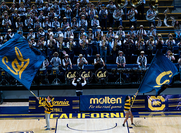 Cal Band, Rally Comm