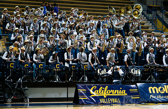 Cal Band