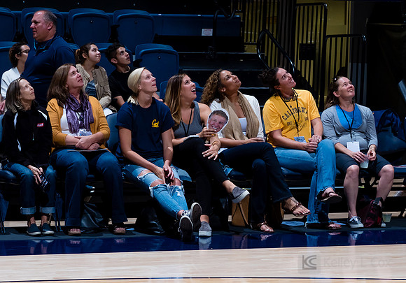 Volleyball Alumni