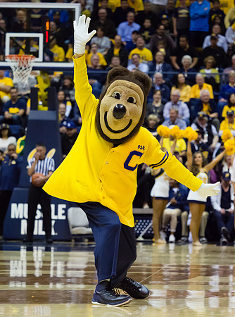 NCAA Basketball: Oregon at California